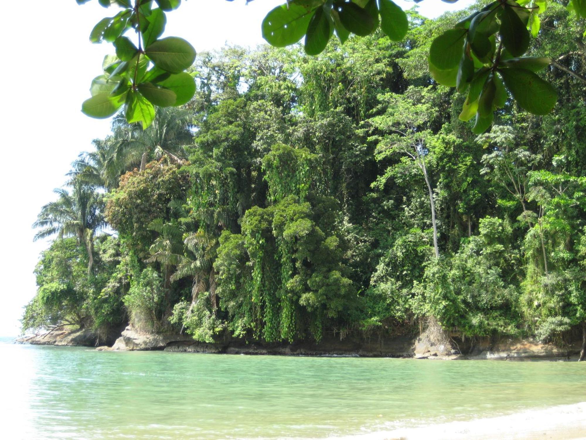 El Tucan Jungle Lodge Puerto Viejo de Talamanca Bagian luar foto