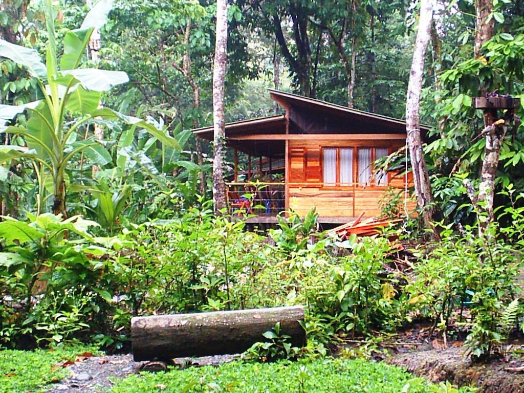 El Tucan Jungle Lodge Puerto Viejo de Talamanca Bagian luar foto
