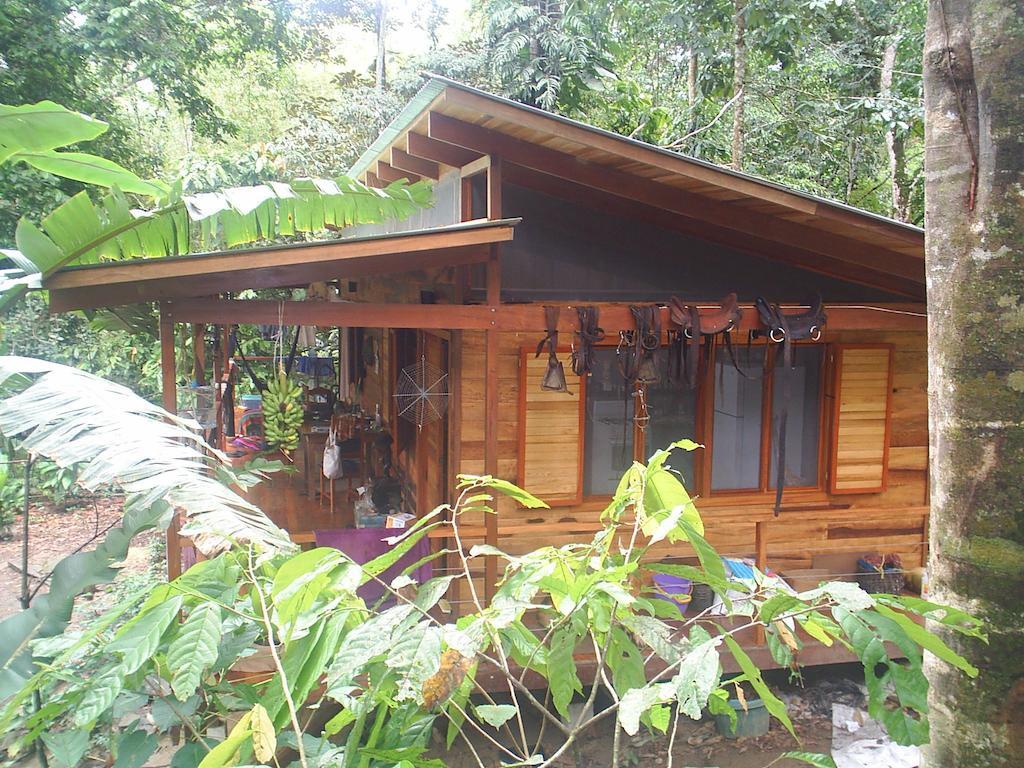 El Tucan Jungle Lodge Puerto Viejo de Talamanca Ruang foto