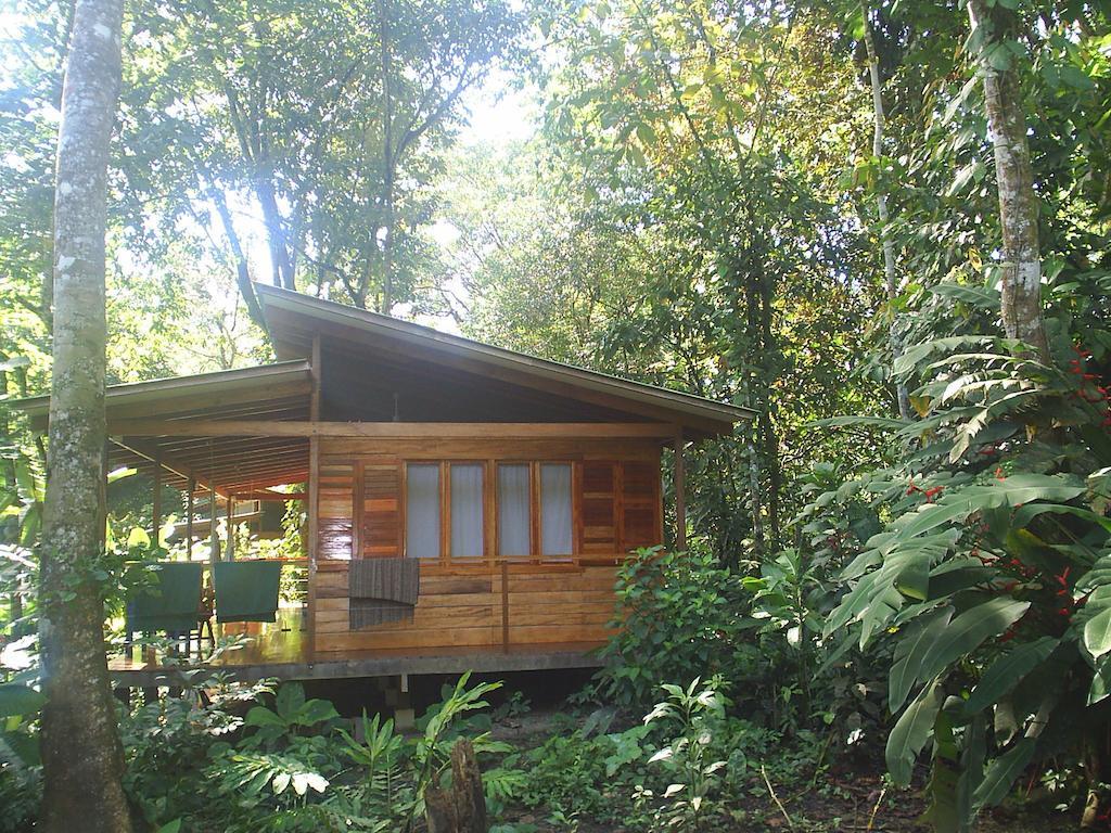 El Tucan Jungle Lodge Puerto Viejo de Talamanca Ruang foto