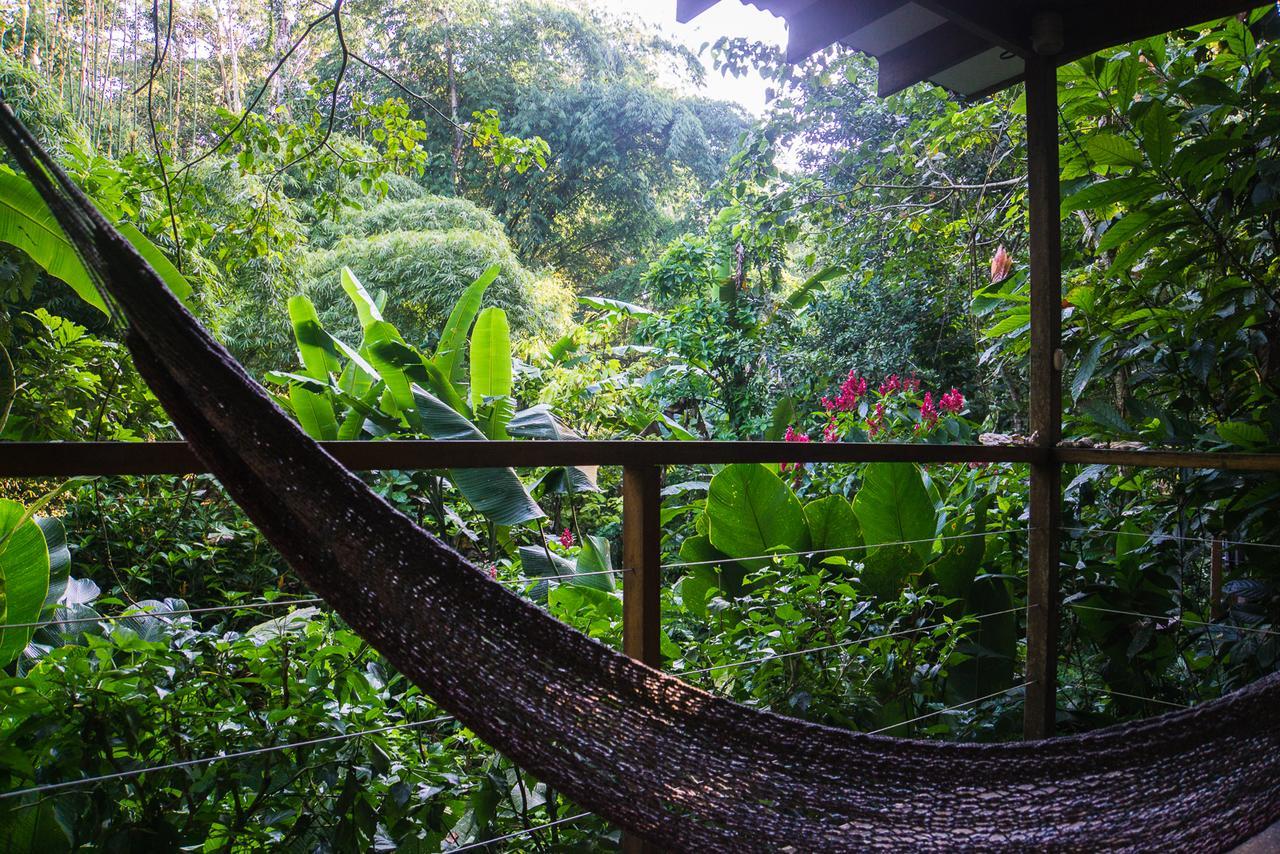 El Tucan Jungle Lodge Puerto Viejo de Talamanca Bagian luar foto