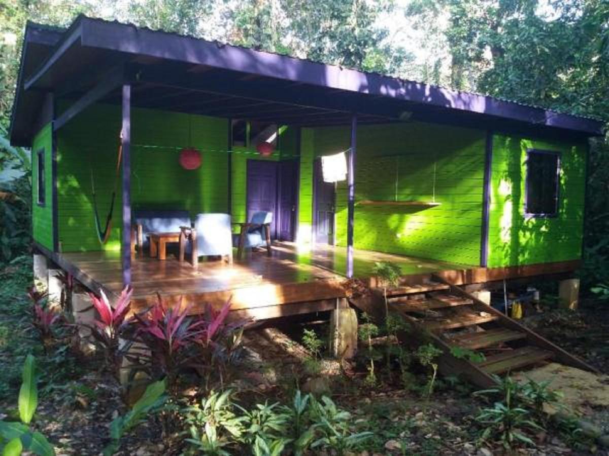 El Tucan Jungle Lodge Puerto Viejo de Talamanca Bagian luar foto