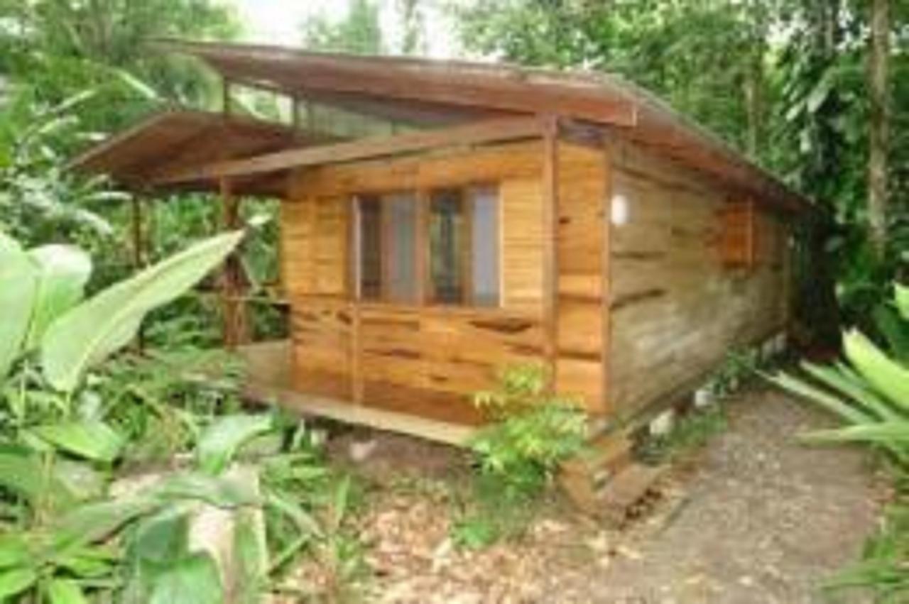 El Tucan Jungle Lodge Puerto Viejo de Talamanca Bagian luar foto