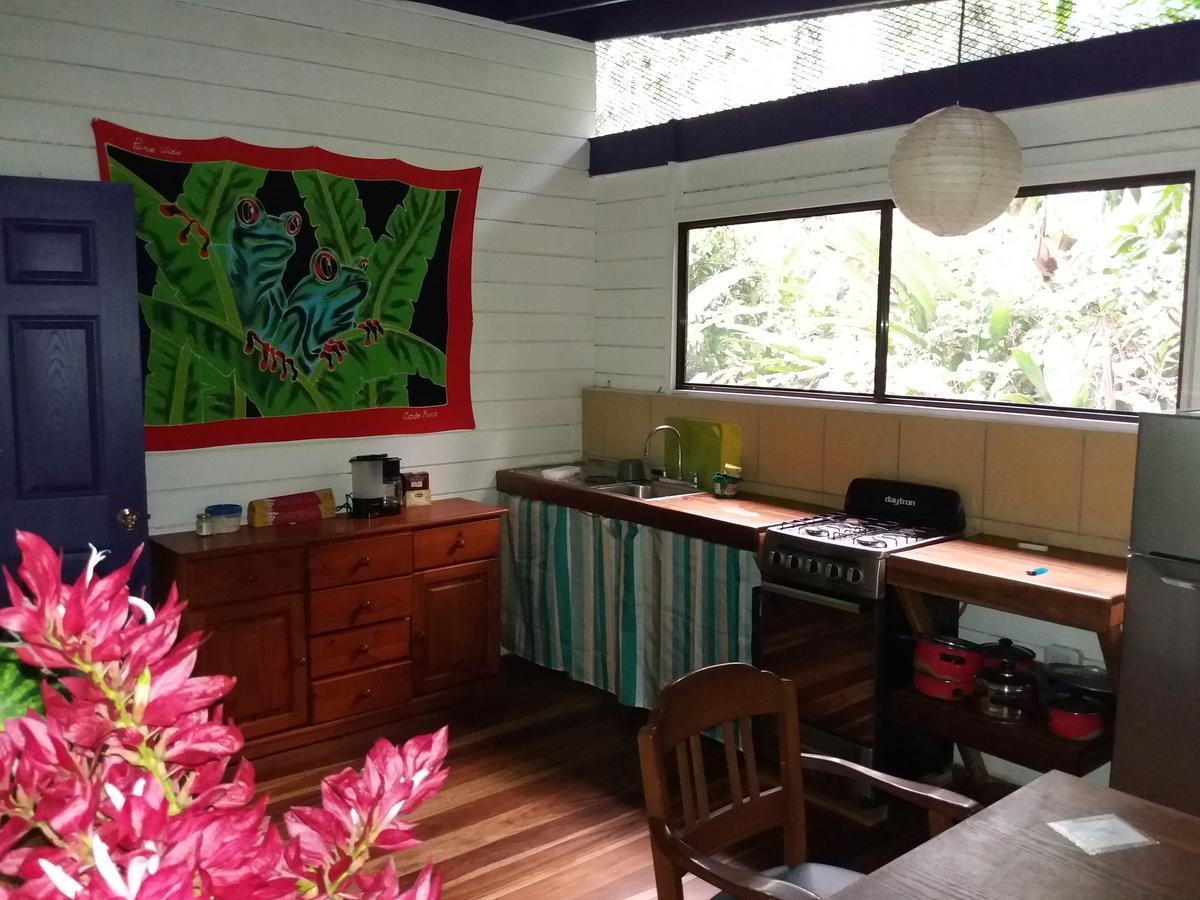 El Tucan Jungle Lodge Puerto Viejo de Talamanca Bagian luar foto